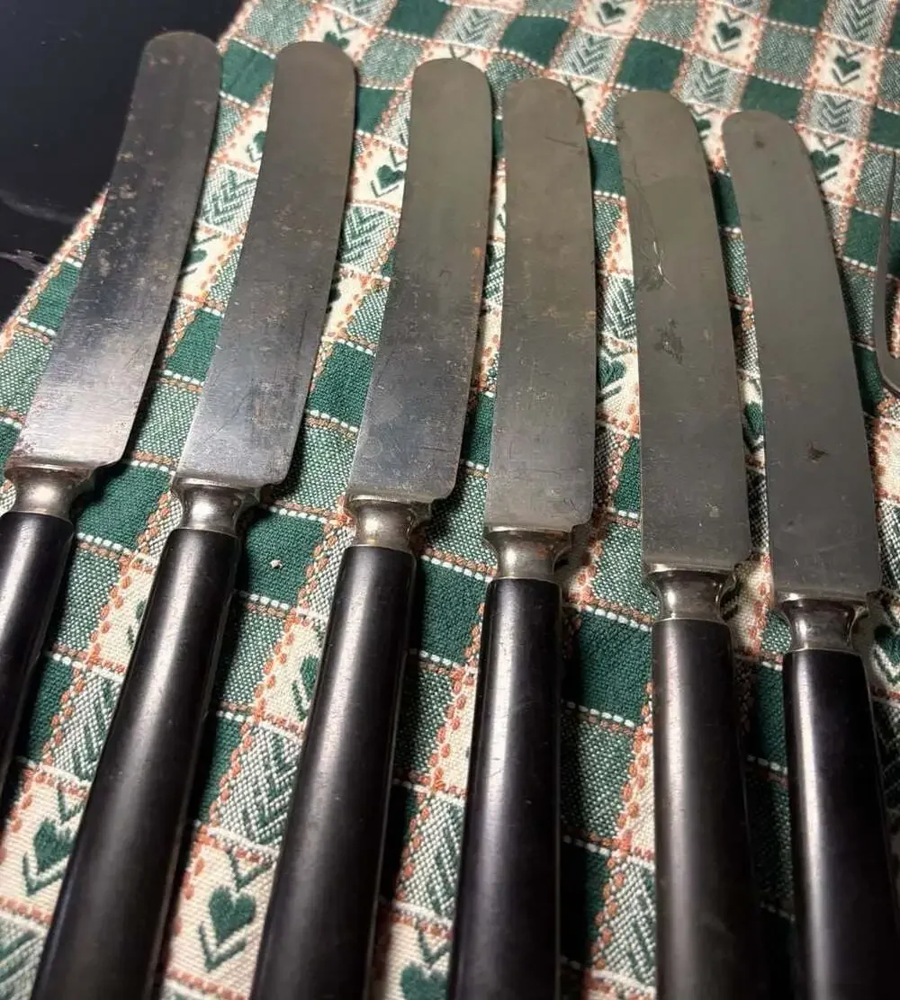 Antique Vintage Landers, Frary and Clark Knives & Forks 12 in a Set